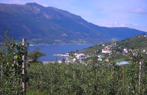 view over fjord